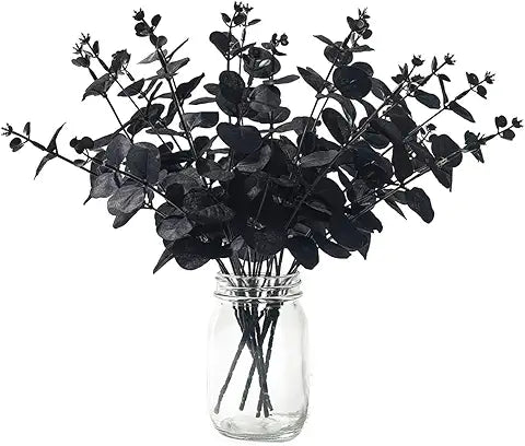 BLACK EUCALYPTUS STEMS