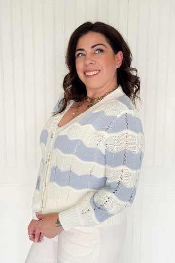 The briar line v neck knit cardigan