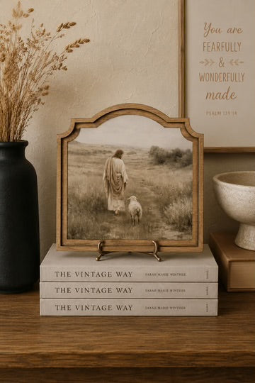 Good shepherd provincial framed art 9x10 inch
