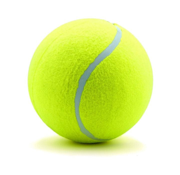 Jumbo 8 inch playground tennis ball with pump