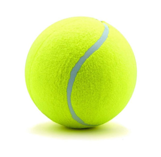 Jumbo 8 inch playground tennis ball with pump