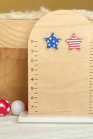 THE USA PRIDE STAR STUD EARRINGS